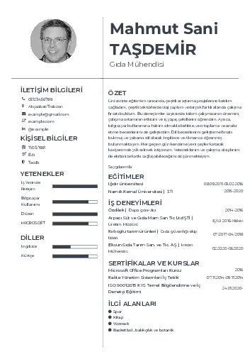 Gıda Mühendisi CV Örnekleri cv indir